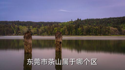 東莞市茶山屬于哪個區