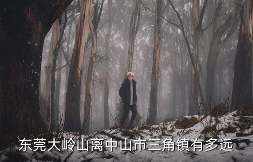 從東莞大嶺山到中山，東莞大嶺山廣場到中山北站怎么去