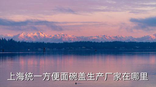 上海統(tǒng)一方便面碗蓋生產(chǎn)廠家在哪里