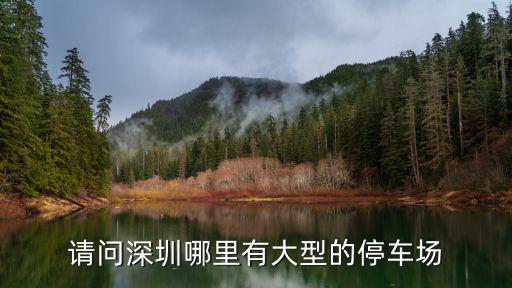 請問深圳哪里有大型的停車場