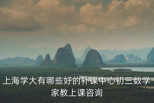 上海學大有哪些好的補課中心初三數學家教上課咨詢