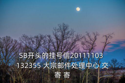 上海市靜安區(qū)大宗處理中心，SB開頭的掛號信20111103 132355 大宗郵件處理中心 交寄 寄