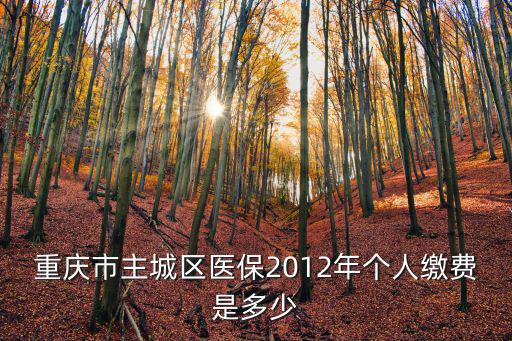 重慶市主城區(qū)醫(yī)保2012年個(gè)人繳費(fèi)是多少