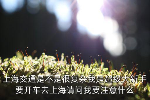 上海交通是不是很復雜我是超級大新手要開車去上海請問我要注意什么