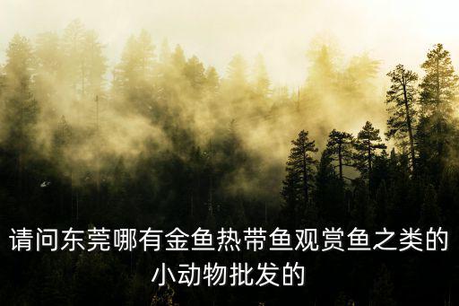 請問東莞哪有金魚熱帶魚觀賞魚之類的小動物批發的