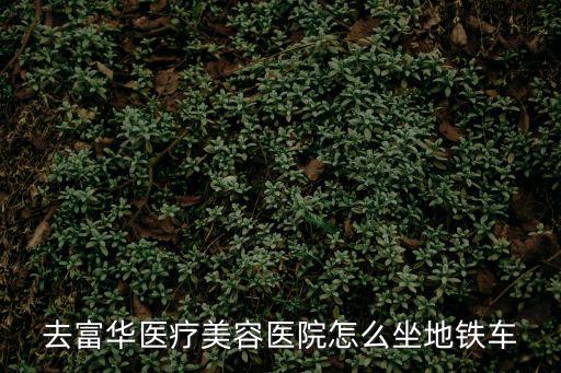 去富華醫(yī)療美容醫(yī)院怎么坐地鐵車