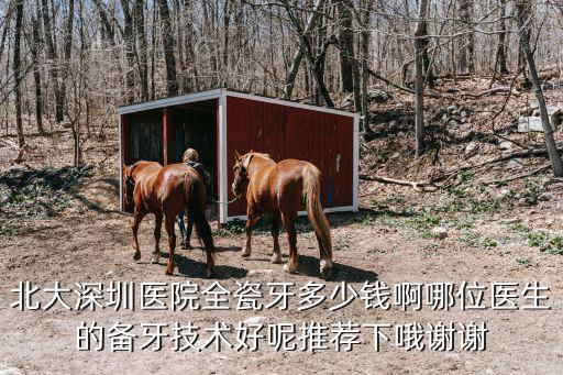 北大深圳醫(yī)院全瓷牙多少錢啊哪位醫(yī)生的備牙技術(shù)好呢推薦下哦謝謝