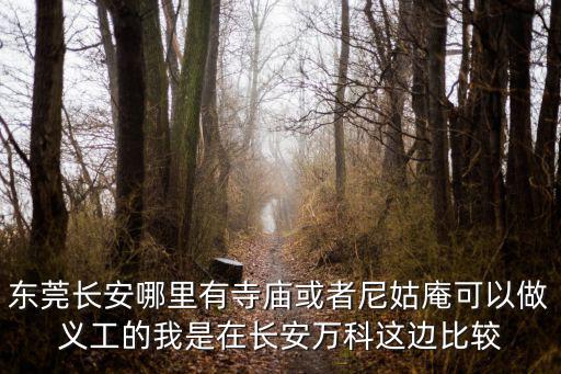 東莞長安哪里有寺廟或者尼姑庵可以做義工的我是在長安萬科這邊比較