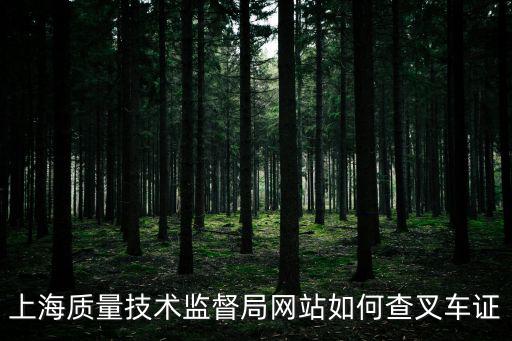上海質量技術監督局網站如何查叉車證