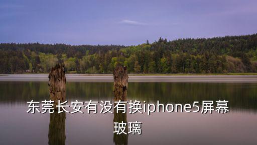 東莞長安有沒有換iphone5屏幕玻璃