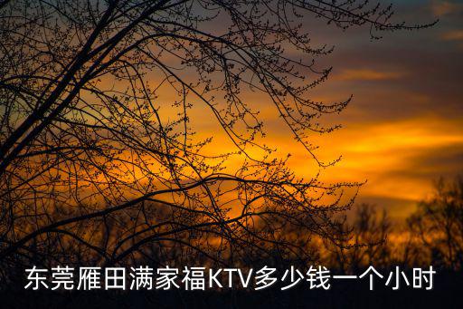 東莞雁田滿家福KTV多少錢一個小時