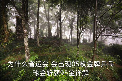 東莞運動員省運會金牌獎勵，為什么省運會 會出現05枚金牌乒乓球會斬獲95金詳解