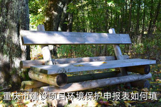 重慶市建設項目環境保護申報表如何填