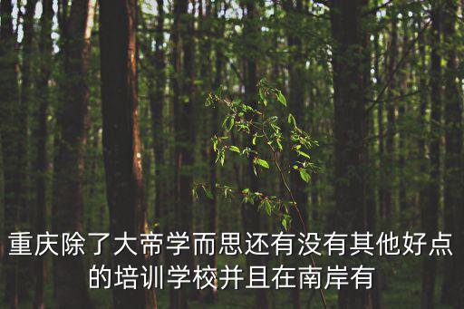 重慶市的學而思，重慶除了大帝學而思還有沒有其他好點的培訓學校并且在南岸有