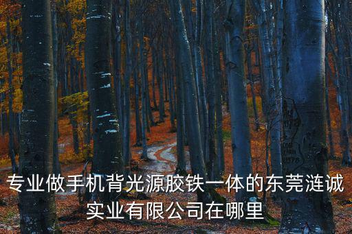 東莞市金明鏡業(yè)有限公司，誰去過東莞展勝電子科技有限公司啊到底怎么樣呢剛接到面試通