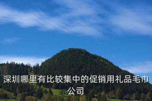 深圳哪里有比較集中的促銷用禮品毛巾公司