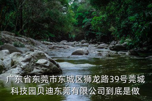 廣東省東莞市東城區獅龍路39號莞城科技園貝迪東莞有限公司到底是做