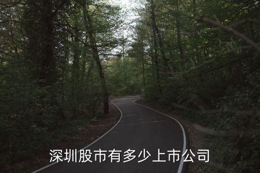 深圳股市有多少上市公司