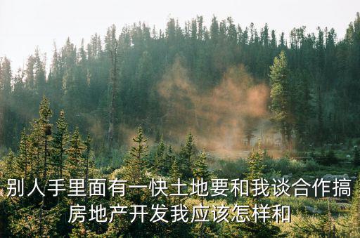 別人手里面有一快土地要和我談合作搞房地產開發我應該怎樣和