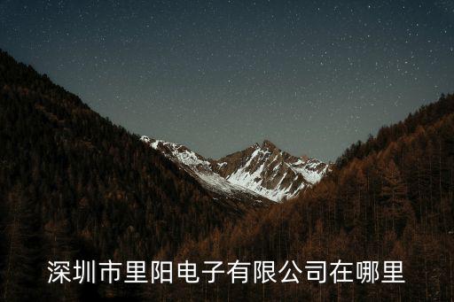 深圳市里陽電子有限公司在哪里