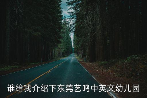 誰給我介紹下東莞藝鳴中英文幼兒園