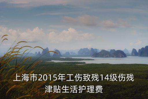 上海市2015年工傷致殘14級傷殘津貼生活護理費