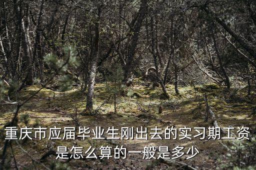 重慶市應屆畢業生剛出去的實習期工資是怎么算的一般是多少
