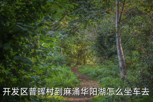 開發區普暉村到麻涌華陽湖怎么坐車去