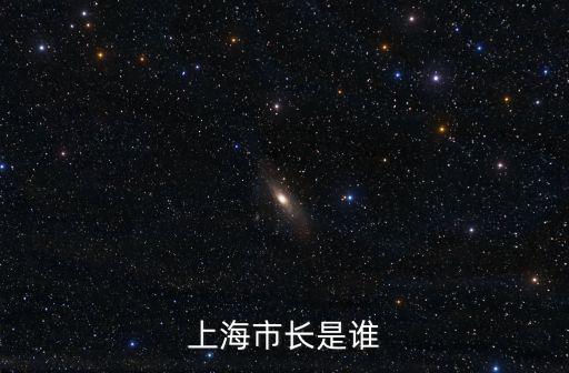 上海市長是誰