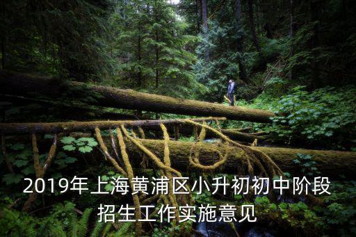 2019年上海黃浦區(qū)小升初初中階段招生工作實施意見