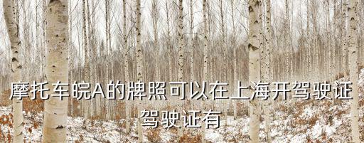 摩托車皖A的牌照可以在上海開駕駛證駕駛證有