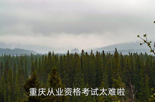 重慶從業(yè)資格考試太難啦