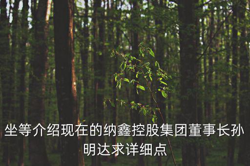 坐等介紹現(xiàn)在的納鑫控股集團(tuán)董事長孫明達(dá)求詳細(xì)點(diǎn)