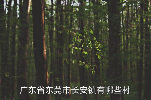 東莞長安附近有哪些村，廣東省東莞市長安鎮有哪些村