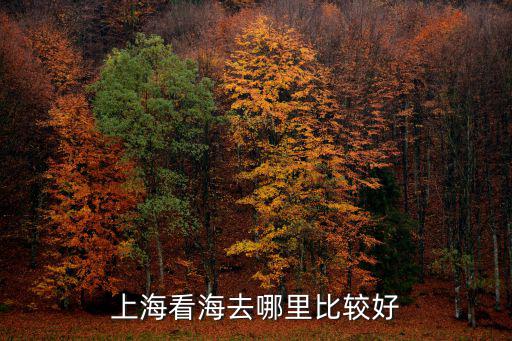 上海看海去哪里比較好