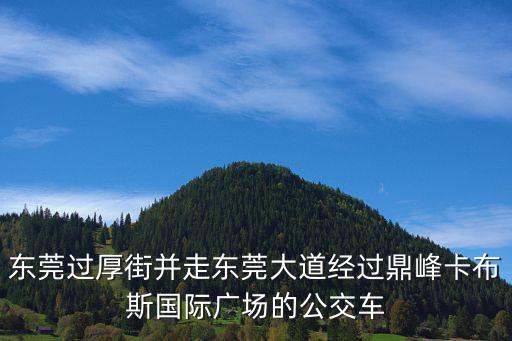 東莞過厚街并走東莞大道經過鼎峰卡布斯國際廣場的公交車