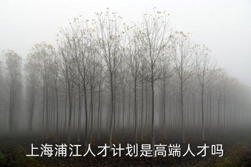 上海市浦江人才 資助，上海浦江人才計劃是高端人才嗎