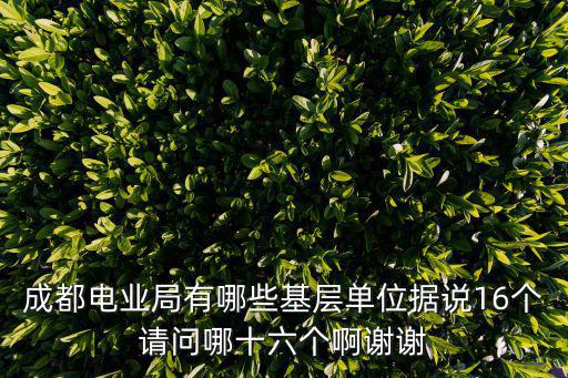 成都電業(yè)局有哪些基層單位據(jù)說(shuō)16個(gè)請(qǐng)問(wèn)哪十六個(gè)啊謝謝