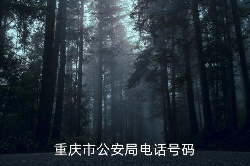 重慶市望龍門派出所電話是多少，重慶市公安局電話號碼