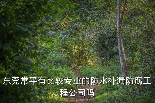 東莞常平有比較專(zhuān)業(yè)的防水補(bǔ)漏防腐工程公司嗎