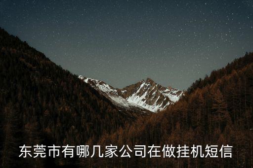 東莞市有哪幾家公司在做掛機短信