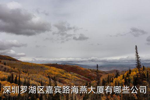 深圳市安寶星科技有限公司，深圳市豐浩達建筑工程造價咨詢有限公司我從這個公司出來這個鳥