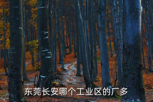 東莞長安哪個工業區的廠多