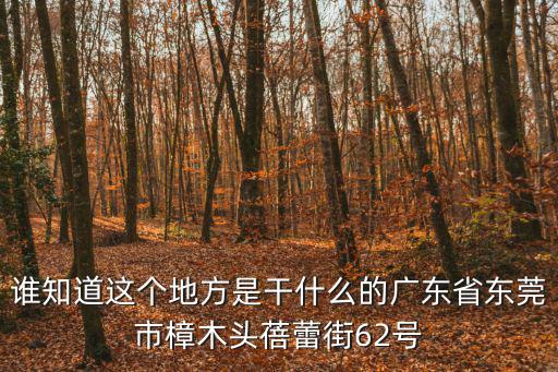 東莞齙牙兔西平地址，西平的地址是多少