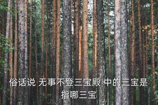 深圳財務熊三寶，杭州三寶和東北三寶分別是什么
