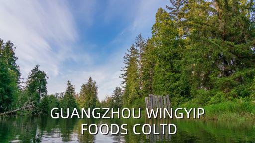 廣州楚庭食品有限公司，廣州狗糧批發(fā)