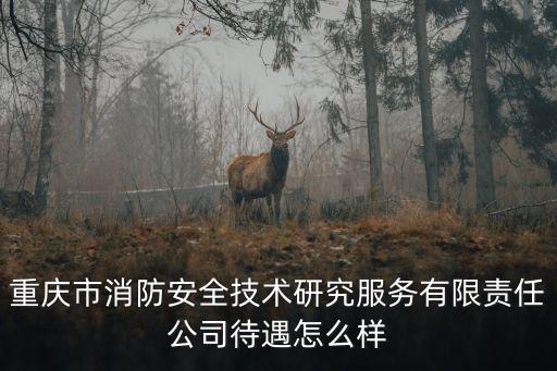 重慶市消防安全技術(shù)研究服務(wù)有限責(zé)任公司待遇怎么樣