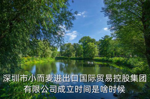 深圳市小而麥進出口國際貿易控股集團有限公司成立時間是啥時候
