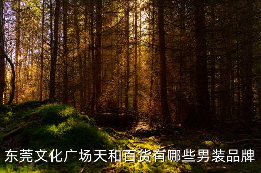 東莞文化廣場(chǎng)天和百貨有哪些男裝品牌