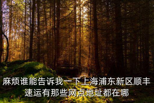 麻煩誰能告訴我一下上海浦東新區(qū)順豐速運(yùn)有那些網(wǎng)點(diǎn)地址都在哪